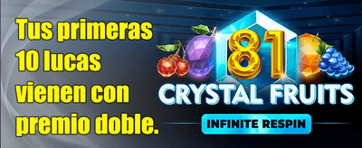 Bono Premium 12