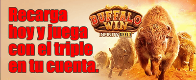 Interfaz de juego de pesca arcade Spin Casino